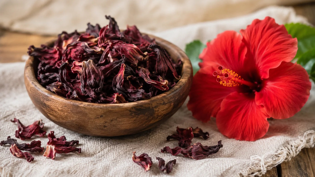 Hibiskus für Tee: Welche Sorte sich eignet und wie du Blüten selbst trocknest rootl