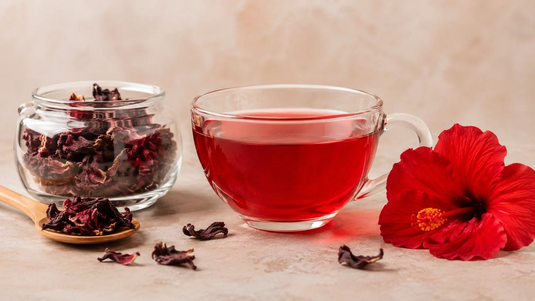Was ist Hibiskustee? Herkunft, Geschmack und die Sorten im Überblick rootl