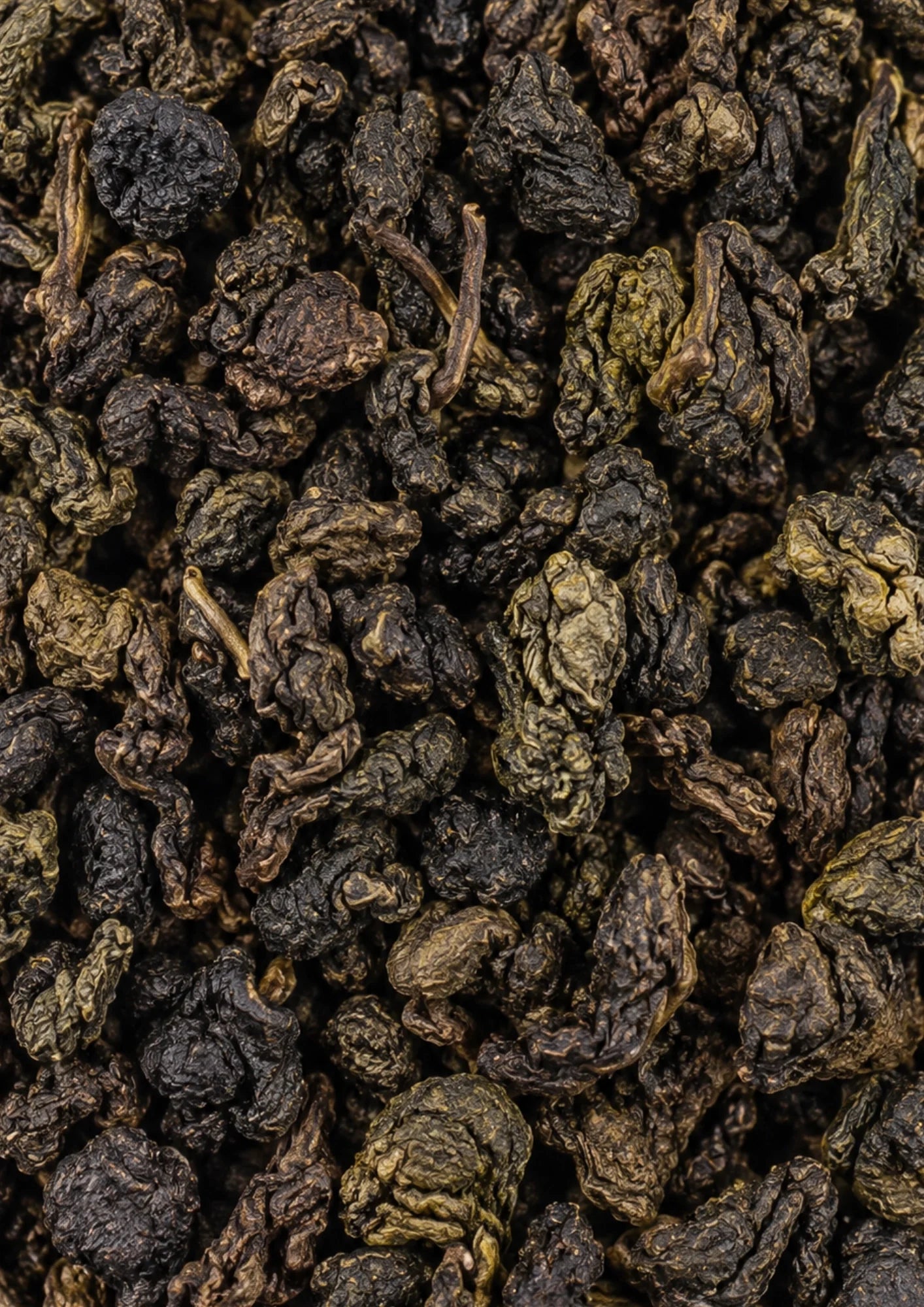 Oolong-Tee rootl