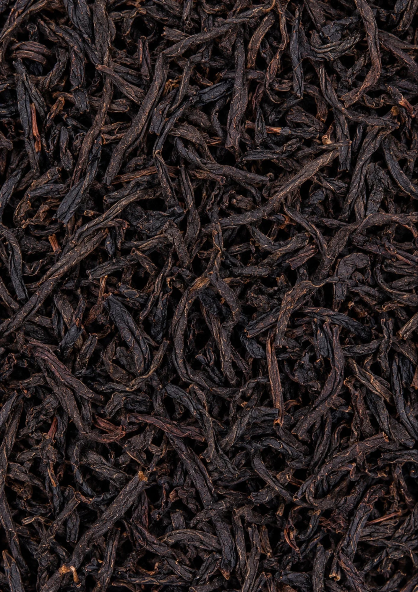 Assam FTGFOP 1 rootl