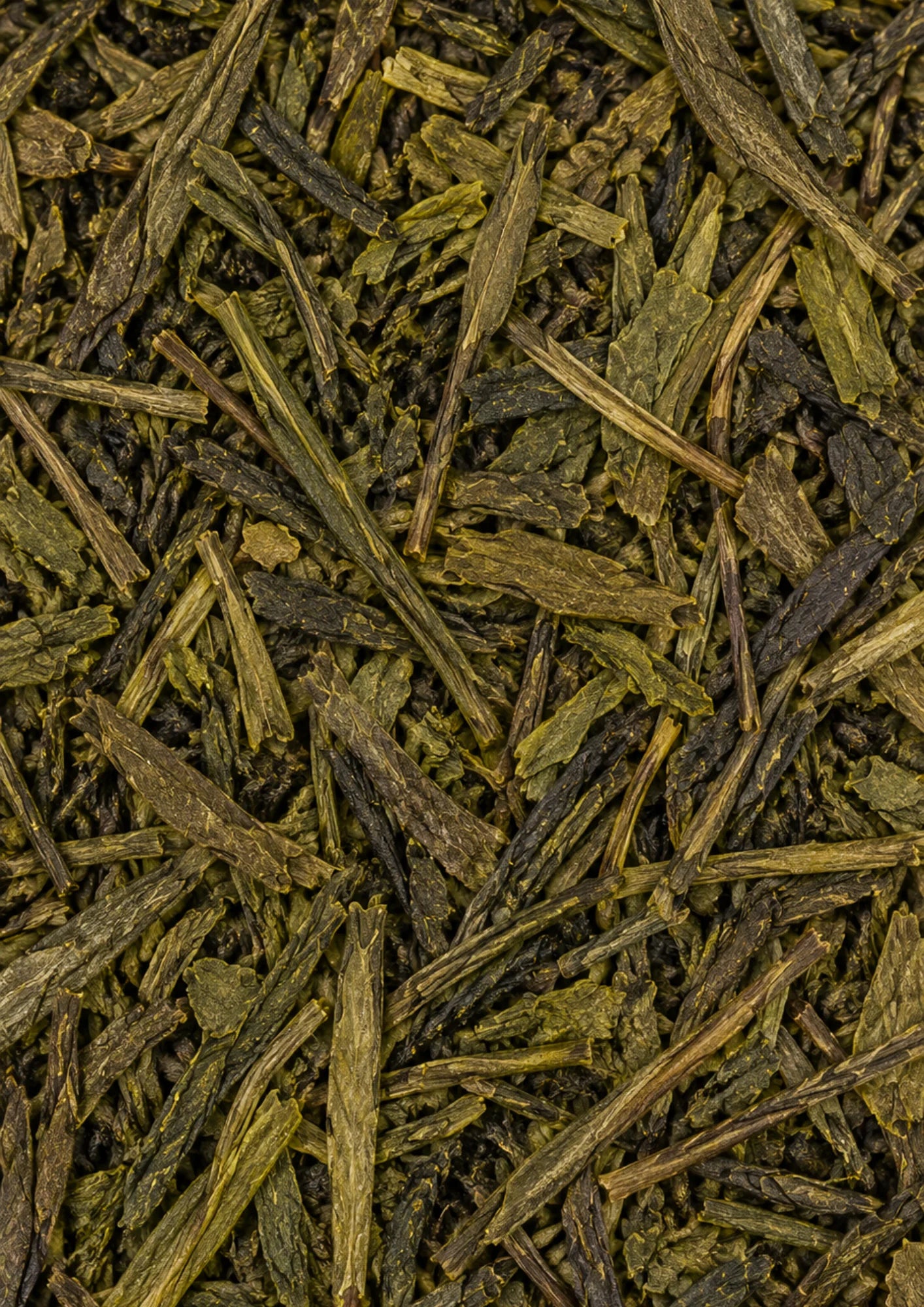China Sencha Bio rootl