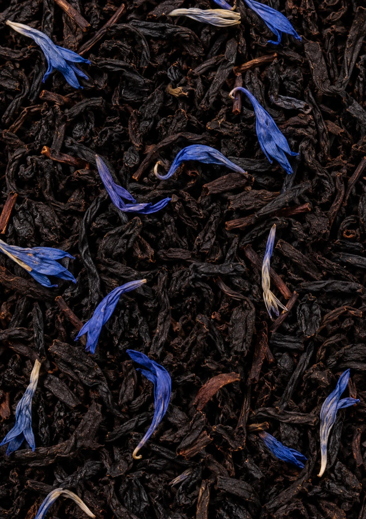 Earl Grey Deluxe Lady Star rootl