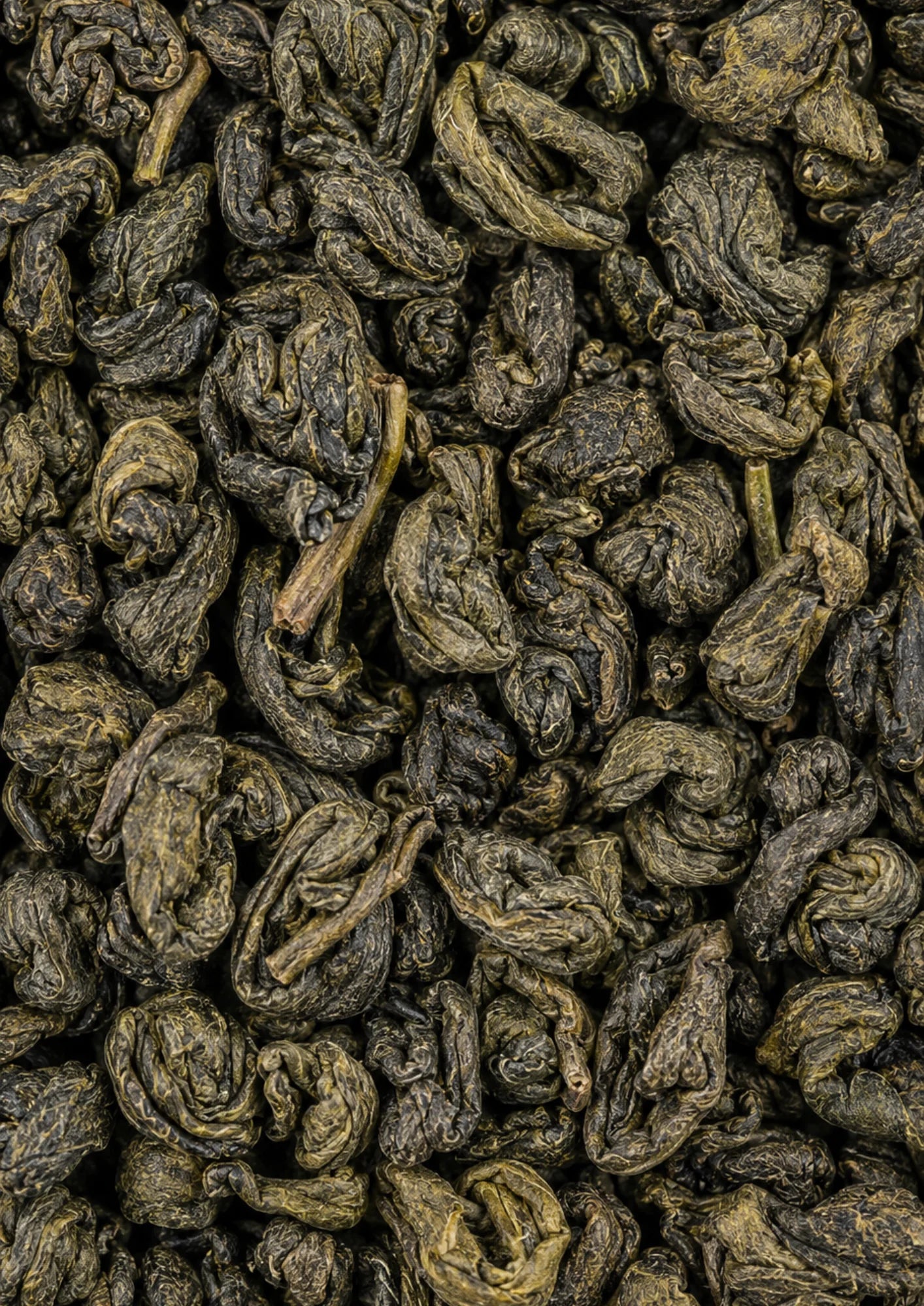 Gunpowder Premium BIO rootl