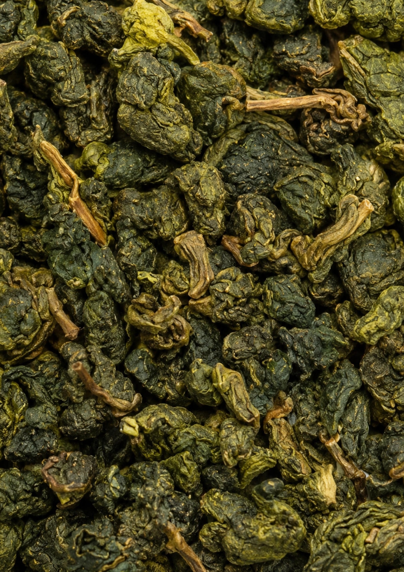 Halimun Jade Oolong BIO rootl