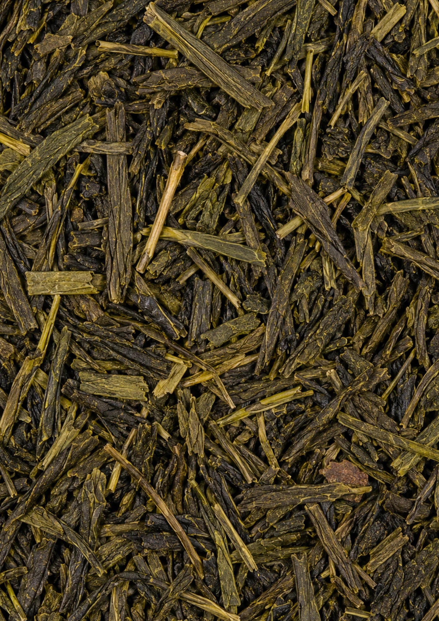 Japan Sencha rootl