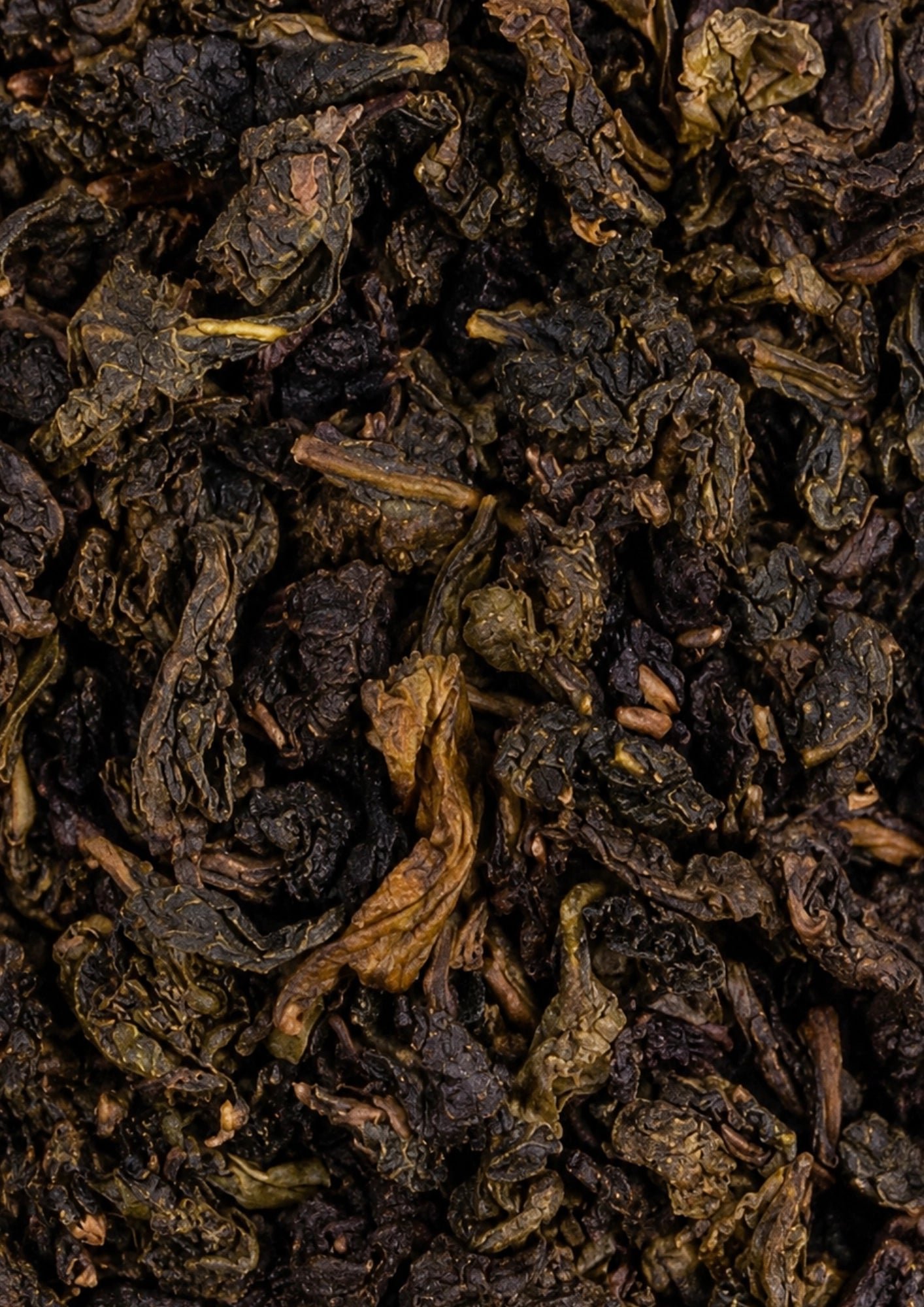 Milky Oolong rootl