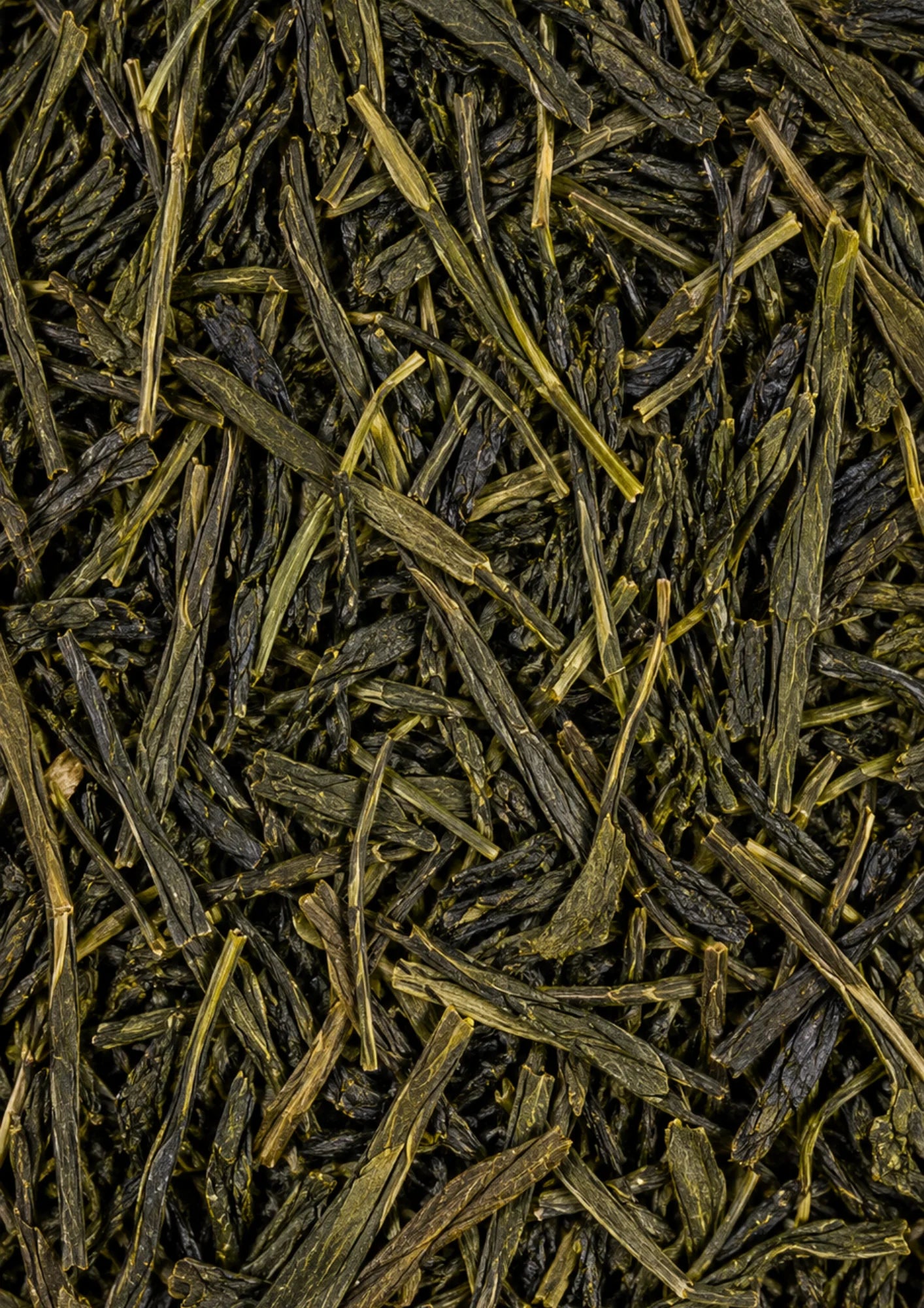 Sencha Mizuki BIO rootl