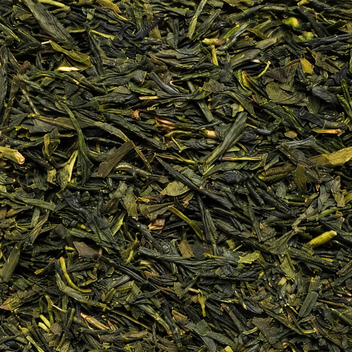 Loser Tee – Japan Sencha